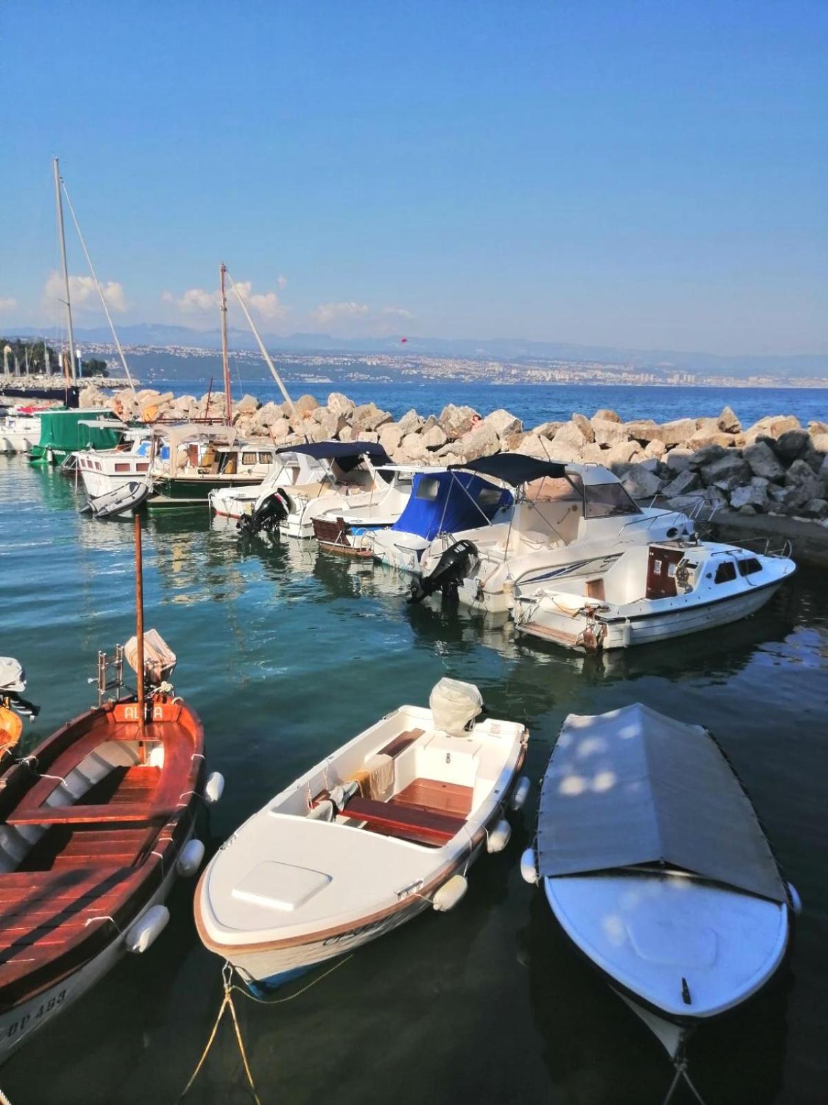 Cozy Apartment Bosnjak Near Opatija, With Sea View Terrace, Air Condition, Free Private Parking Ičići Exterior foto